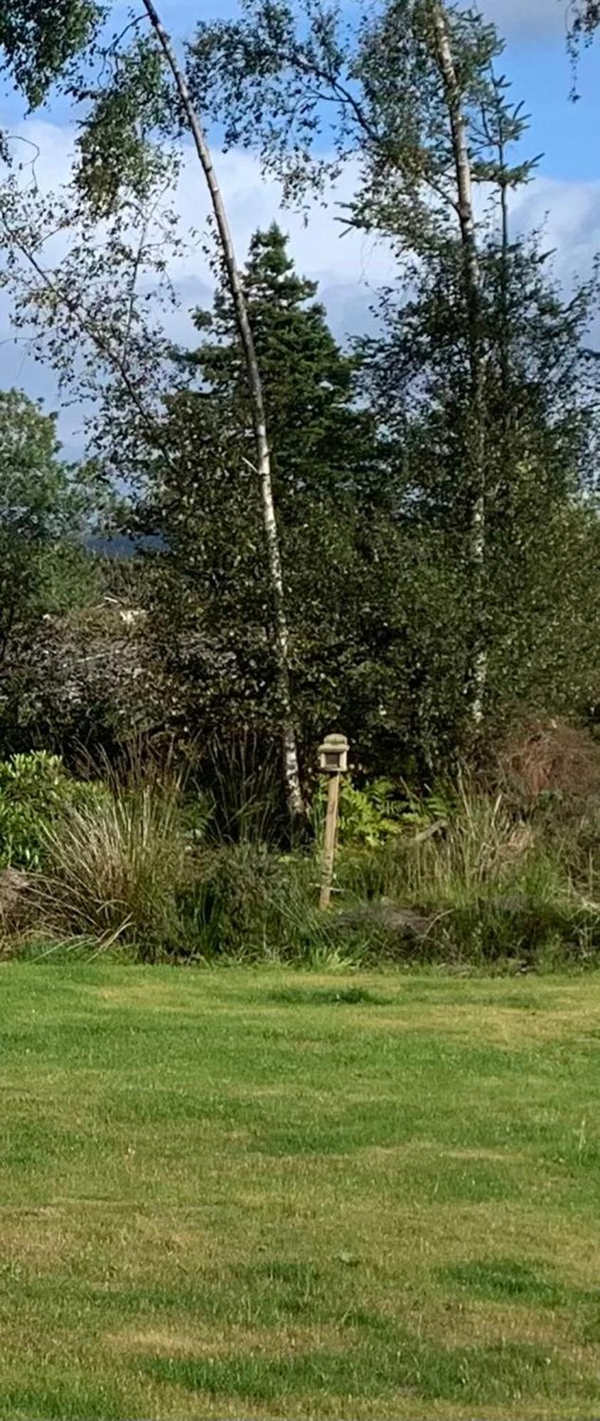 Tawny Owl Pod With Hot Tub Villa Oban Exterior photo